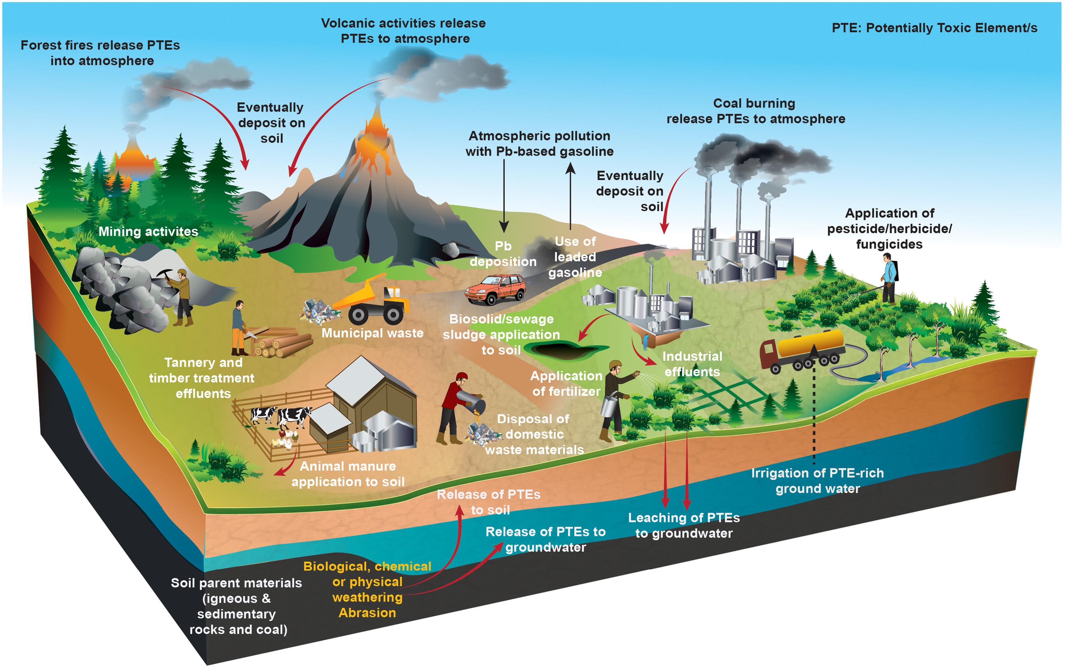 Soil amendments for immobilization of potentially toxic elements in contaminated  soils: A critical review | Sustainable Development Goals - Resource Centre