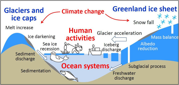 Schematic diagram showing Greenland's coastal environments.