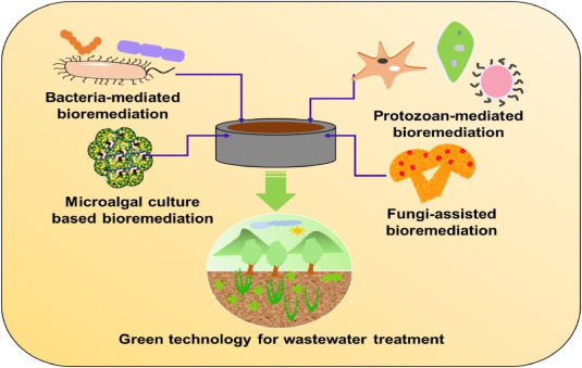 Various microorganisms as a source of green technology used for bio-inspired wastewater treatment (WWT).