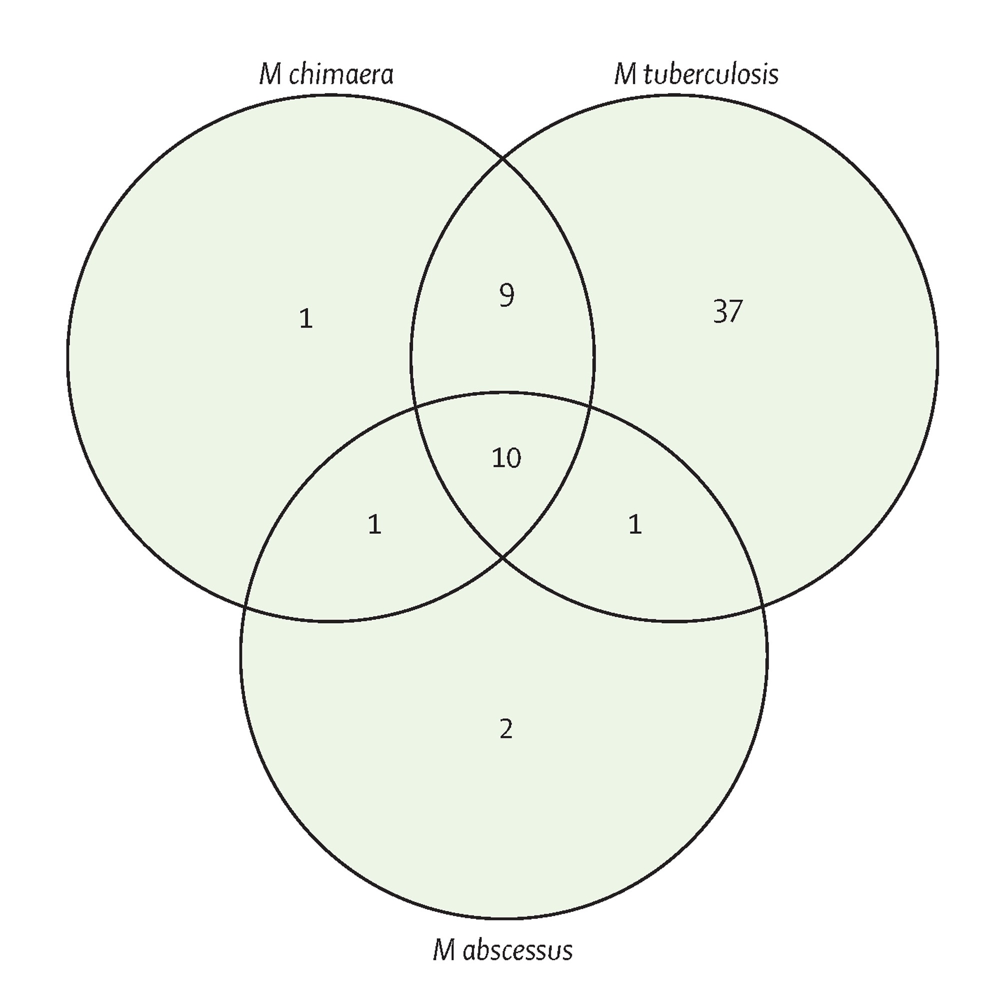 Venn diagram describing the overlap in antimicrobial compound hits against M chimaera, M abscessus, and M tuberculosis. 