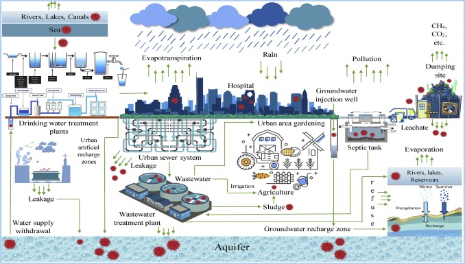 Components of urban water cycle and probable pathway of the novel coronavirus in water environment.