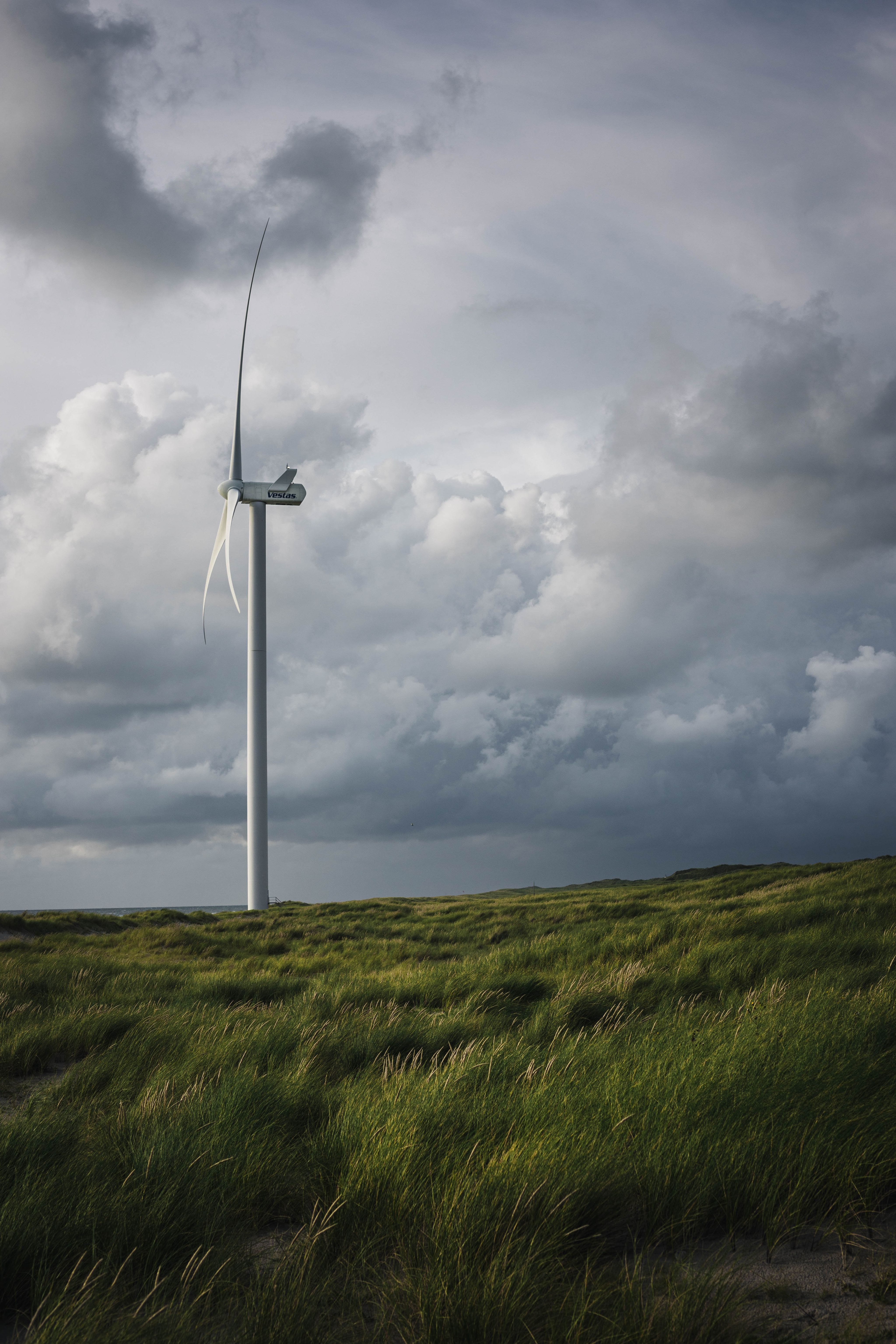 A wind turbine on a hill surrounded by long grass