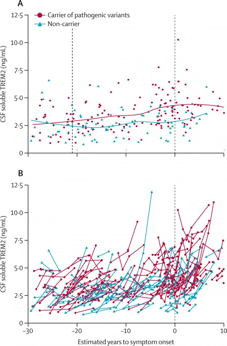 Cross-sectional and longitudinal soluble TREM2 levels in CSF according to estimated years to symptom onset (EYO) in carriers and non-carriers of pathogenic variants.