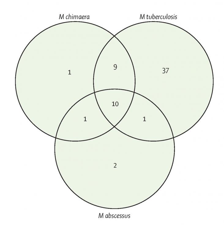 Venn diagram describing the overlap in antimicrobial compound hits against M chimaera, M abscessus, and M tuberculosis. 