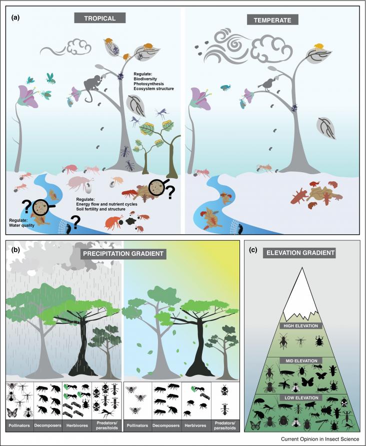 Special Issue: Insects And The UN Sustainable Development Goals ...