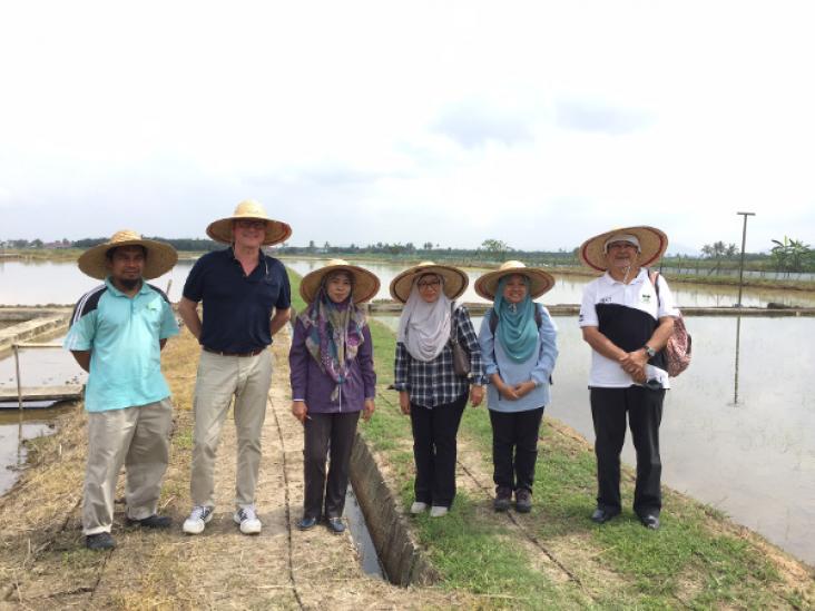 Field trial visit to the Center of Excellence for Rice in Malaysia, left to right: Shahrizal Abdul, Rob van Daalen, Raudhah Talib, Dr. Suzana Yusup, Noor Hafizah Ramli and Abu Bakar Ahmad.