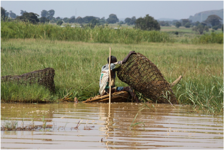 Picture showing different livelihoods in the wetland studied