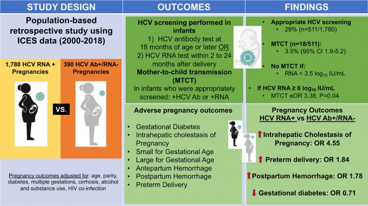 graphical abstract from Influence of hepatitis C viral parameters on pregnancy complications and risk of mother-to-child transmission