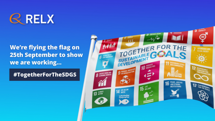 SDG flag flying against a blue sky