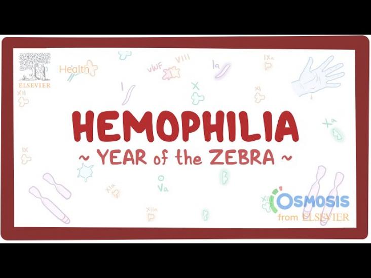 Rare Disease Education: Hemophilia