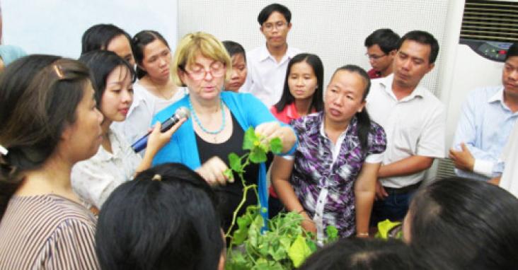 Prof. Jane Polston of the Department of Plant Pathology at the University of Florida is hosted as a visiting expert by the College of Agricultural and Applied Biology at Can Tho University in Vietnam, August 2015. (Photo by Nguyen Quoc Tuan)