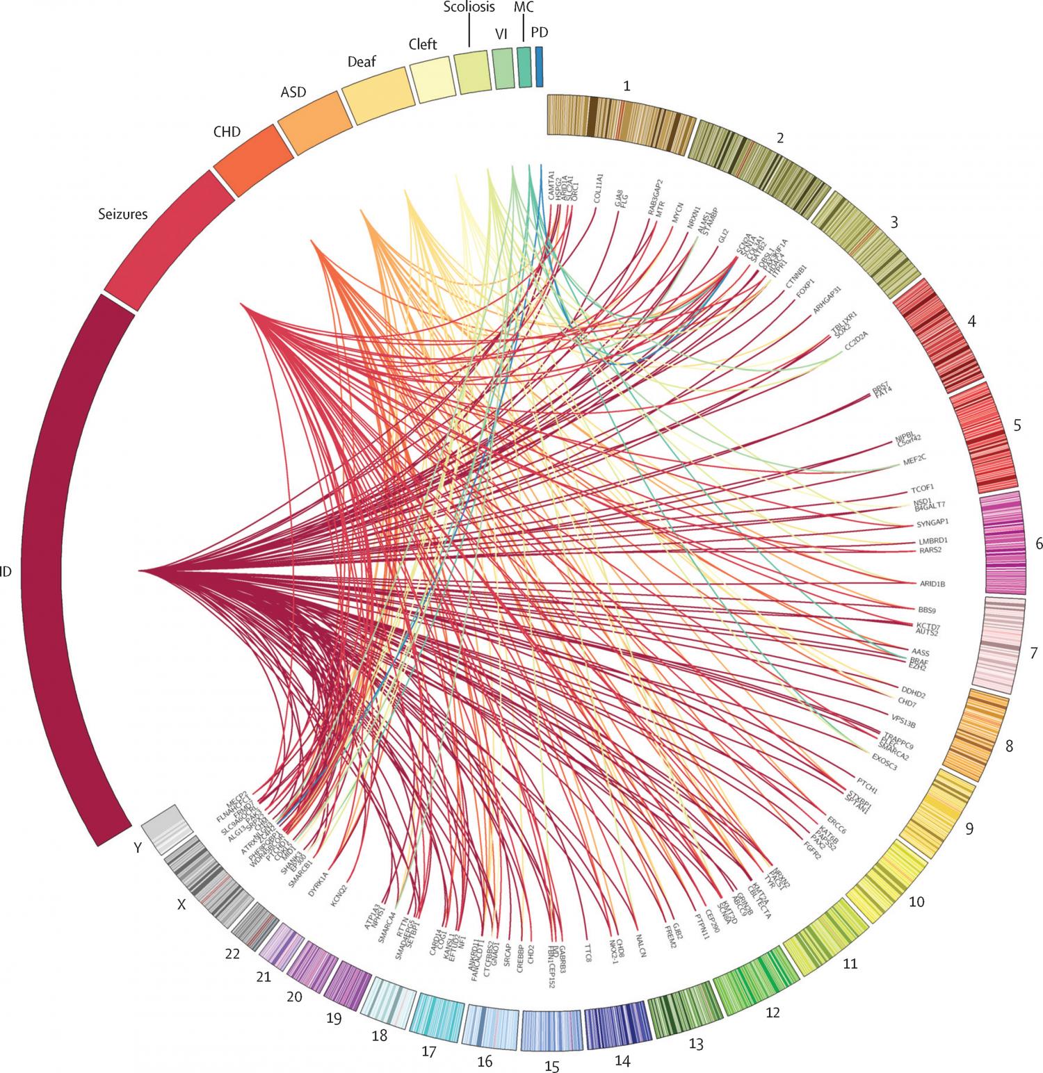 Circos-style plot representing the genetic heterogeneity within developmental disorders