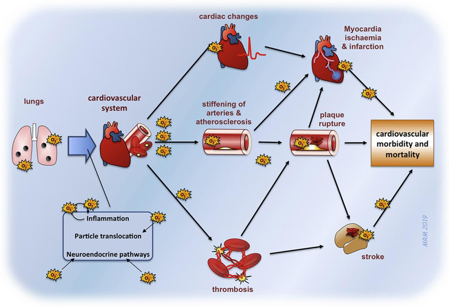 Graphical abstract of article