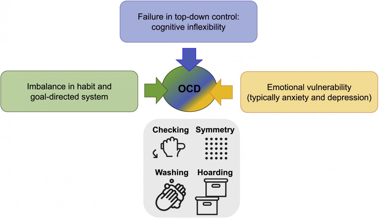 Obsessive-Compulsive Disorder: Puzzles And Prospects | Sustainable ...