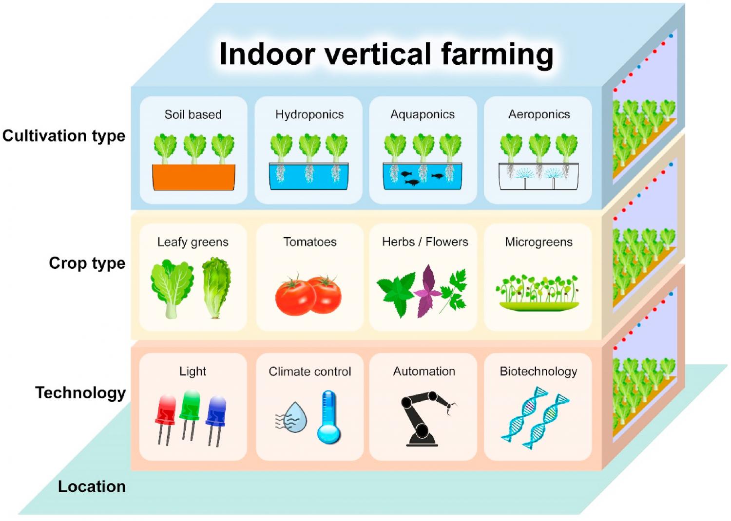 Seeing the lights for leafy greens in indoor vertical farming ...