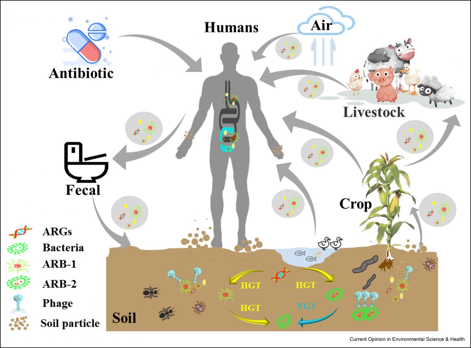 Antibiotic Resistance In The Soil Ecosystem: A One Health Perspective ...