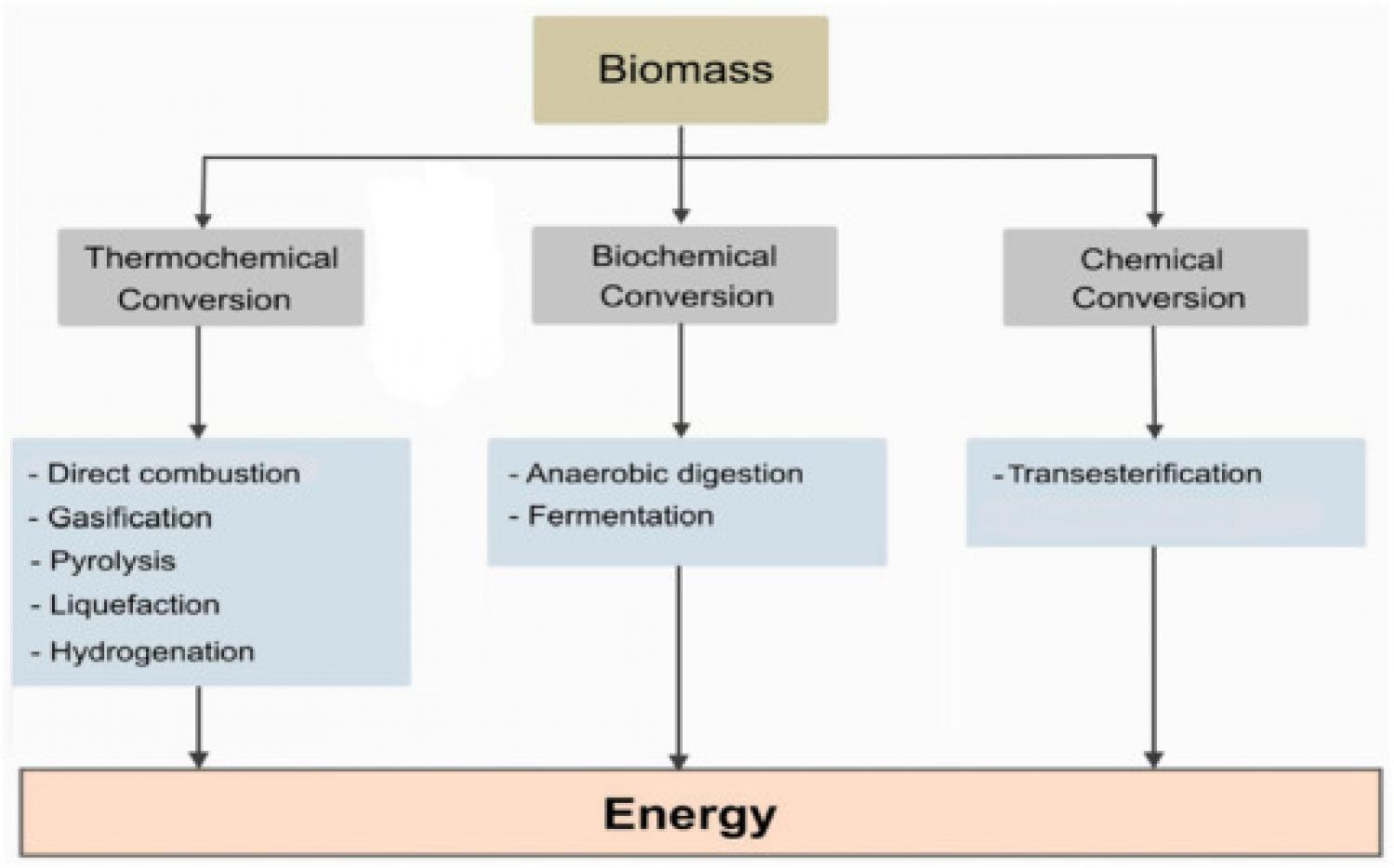 Estimation Of Biogas Production Potential And Greenhouse Gas Emissions   1 S2.0 S2665917422002847 Gr2 