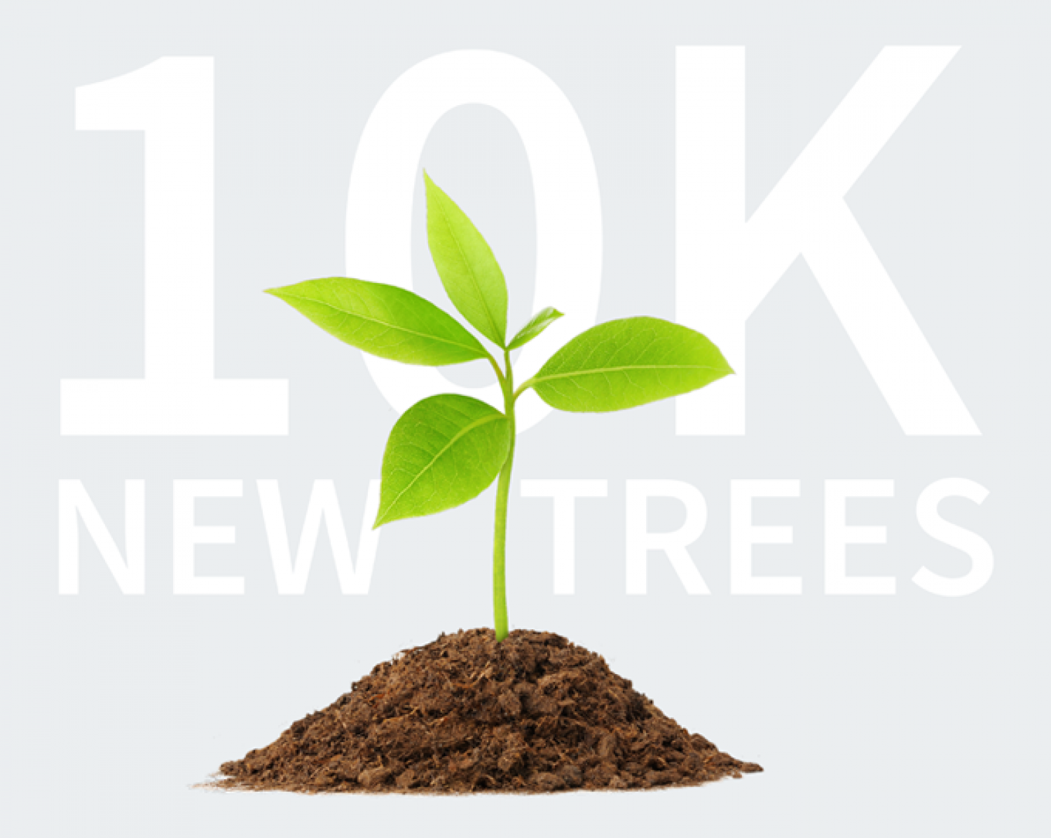 PCC Systems community 10K Trees challenge