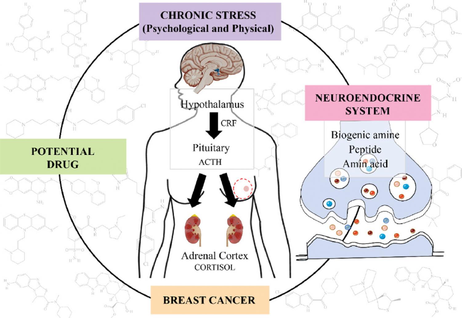 Graphical abstract of article