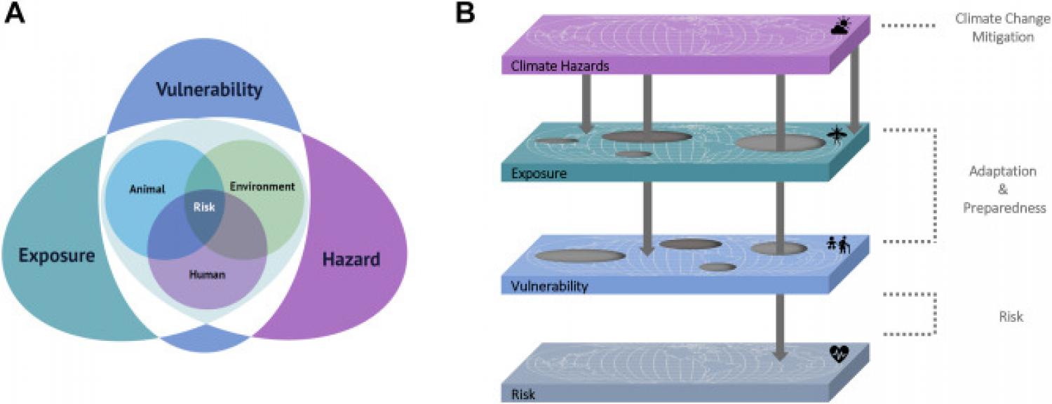 Integrated One Health–Climate Risk approach. A.) Illustration of the integration of One Health (i.e., an integrated, unifying approach to animal, human and environmental health) in the IPCC’s framework of risk in terms of hazard