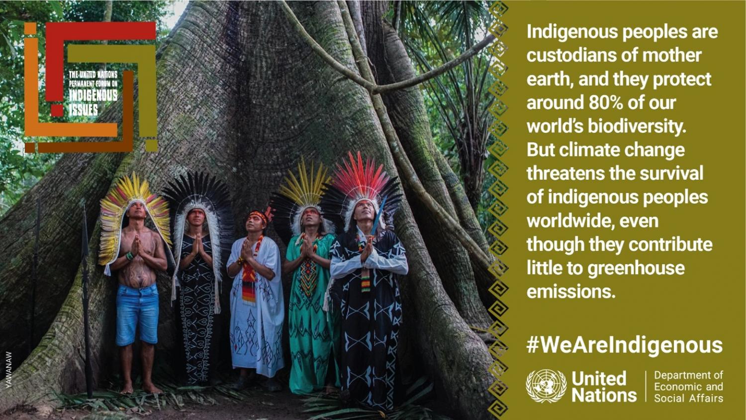 International Day Of The World's Indigenous Peoples 2023 | Sustainable ...