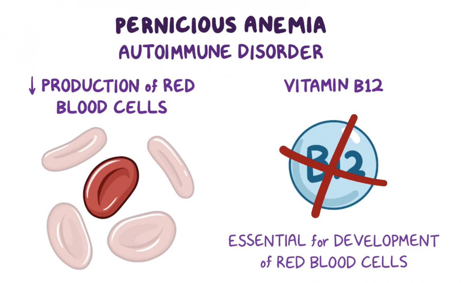 Rare Disease Education: Precocious Anemia | Sustainable Development ...