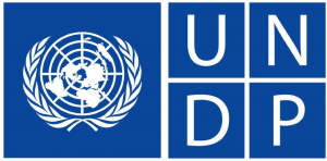 UNDP Logo